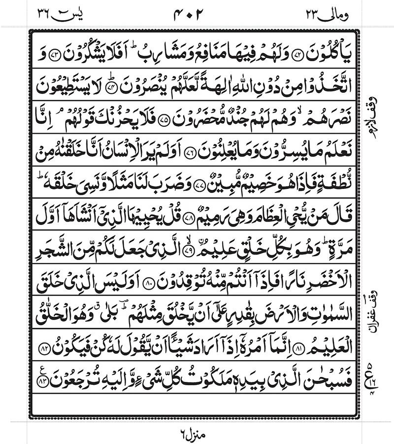 Surah Yaseen Read online 6