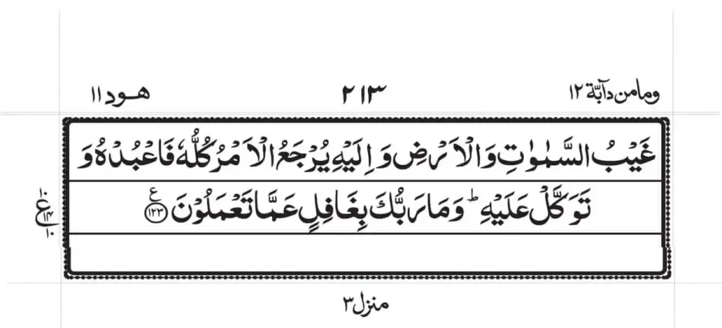 surah hud read online 14