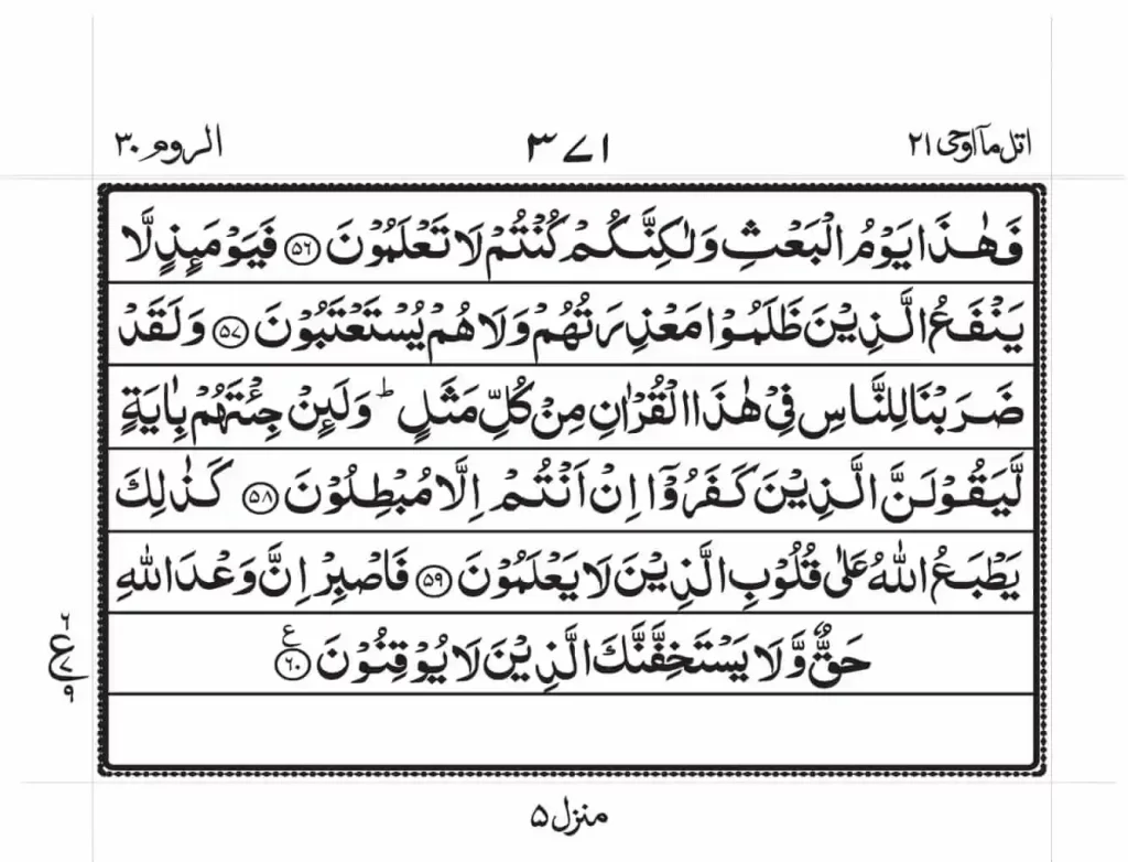 Surah Rum Read Online 7