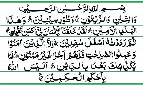 Surah Tin Read Online