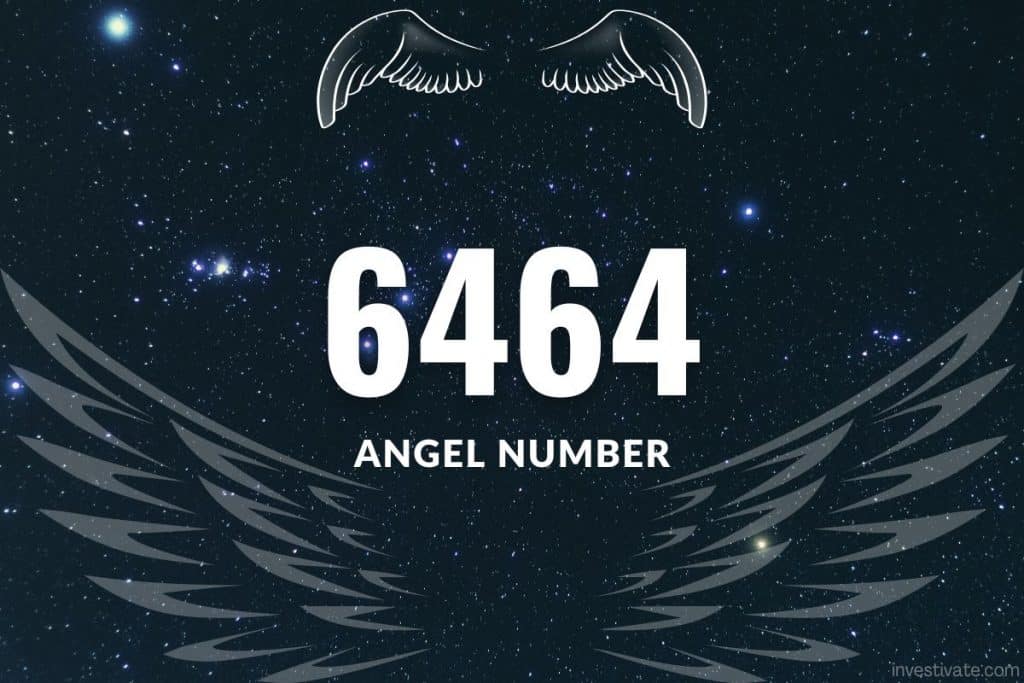 6464 angel number