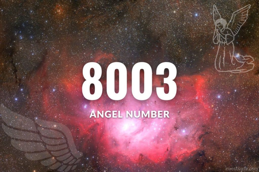 8003 angel number