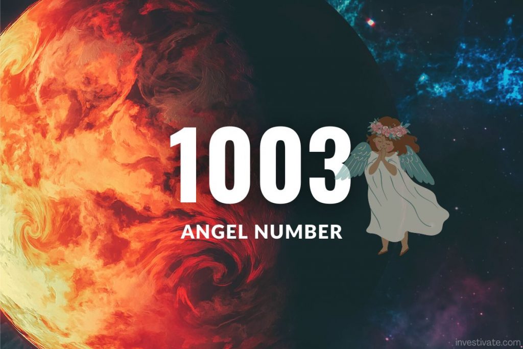 angel number 1003