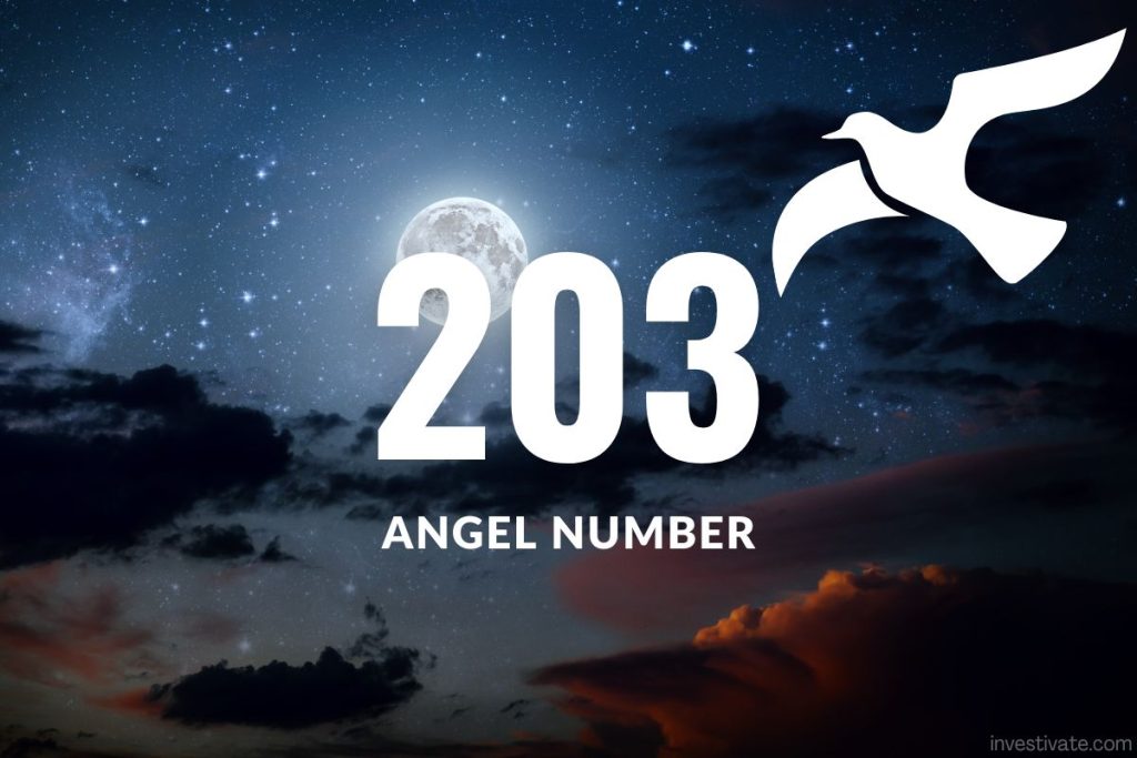 angel number 203