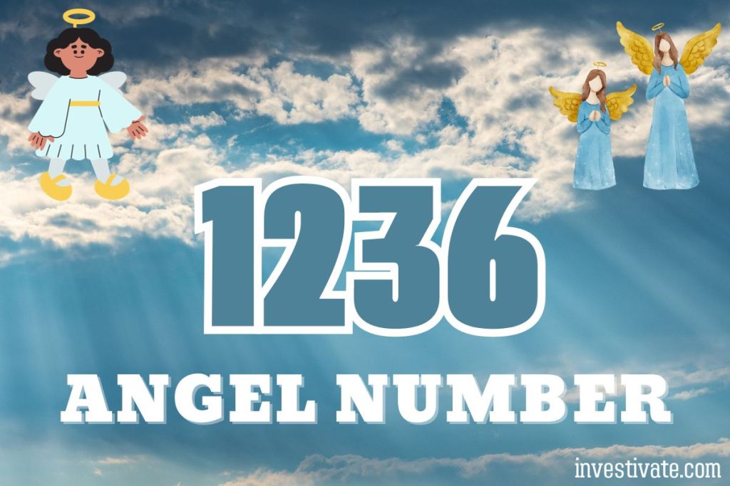 angel number 1236