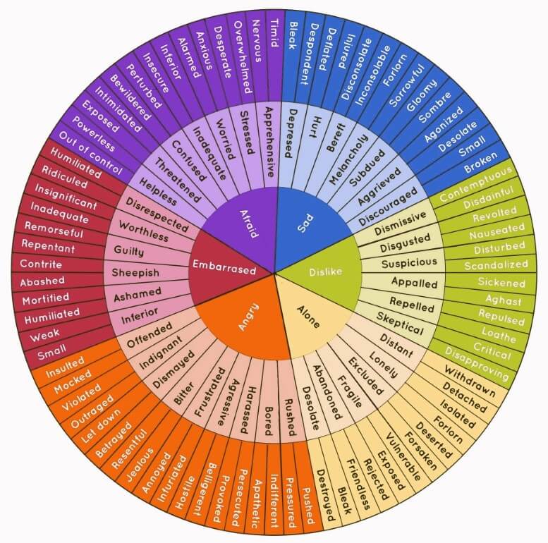 Feelings Wheel