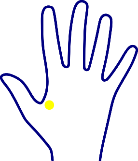 Acupressure Union Valley Point