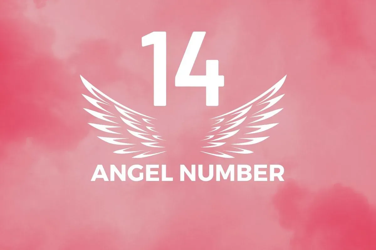 Angel Number 14 Meaning And Symbolism