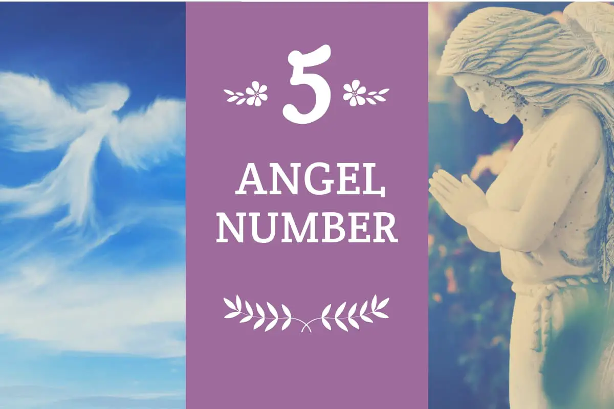 Angel number 5 meaning