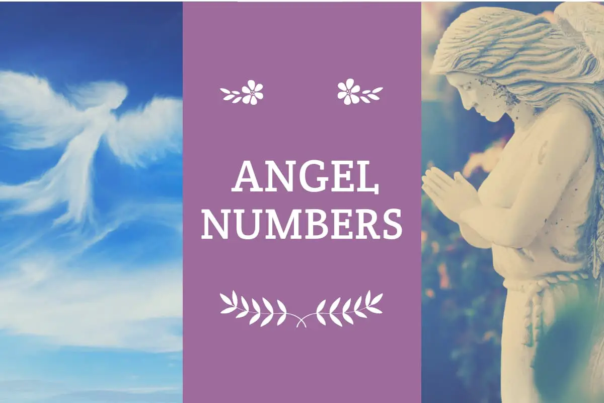 Angel numbers meaning