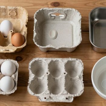 Best Reusable Egg Cartons for 2026 That Actually Last