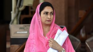 Market Indian superfood globally: Harsimrat Badal