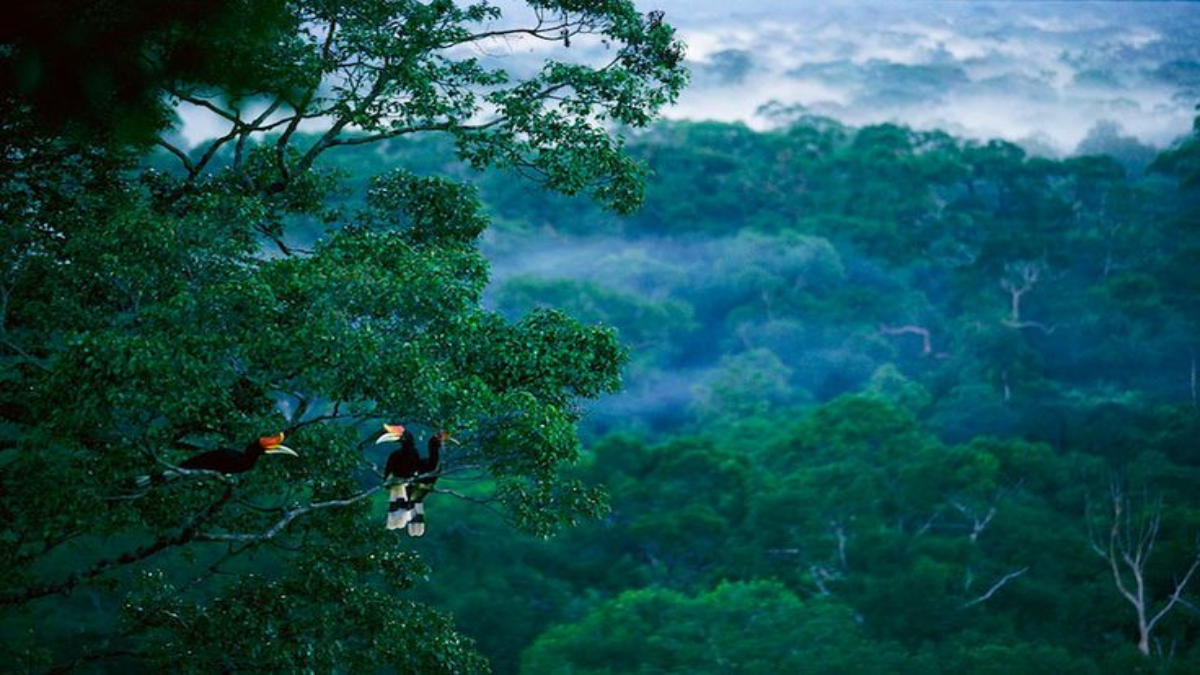 India’s biodiversity