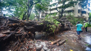 3 dead, 7 injured as Cyclone Nisarga whirls past Mumbai