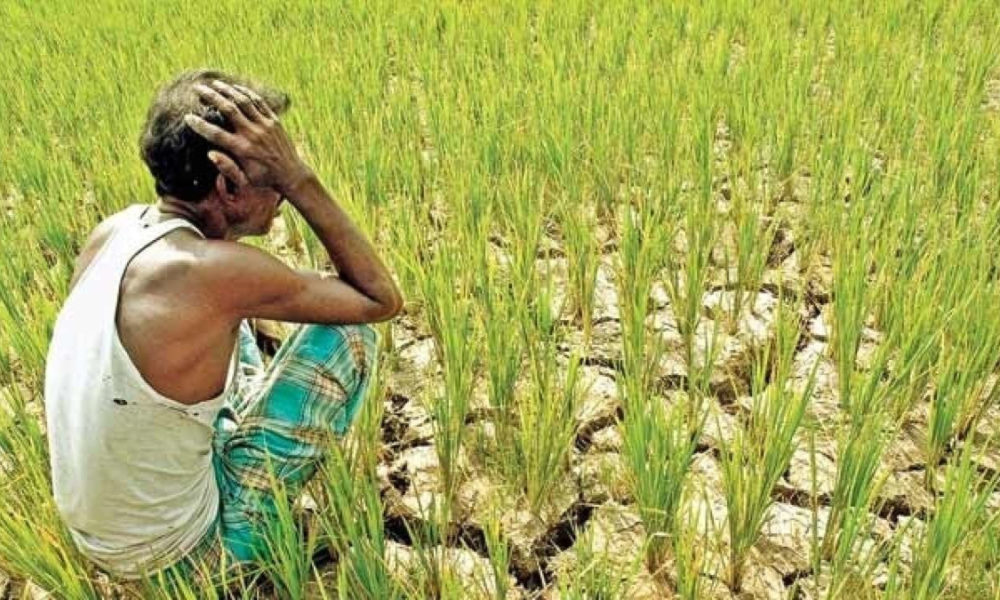 CONG KISAN CELL HOLDS ONLINE CAMPAIGN ON FARMERS’ PLIGHT