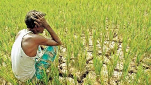 CONG KISAN CELL HOLDS ONLINE CAMPAIGN ON FARMERS’ PLIGHT