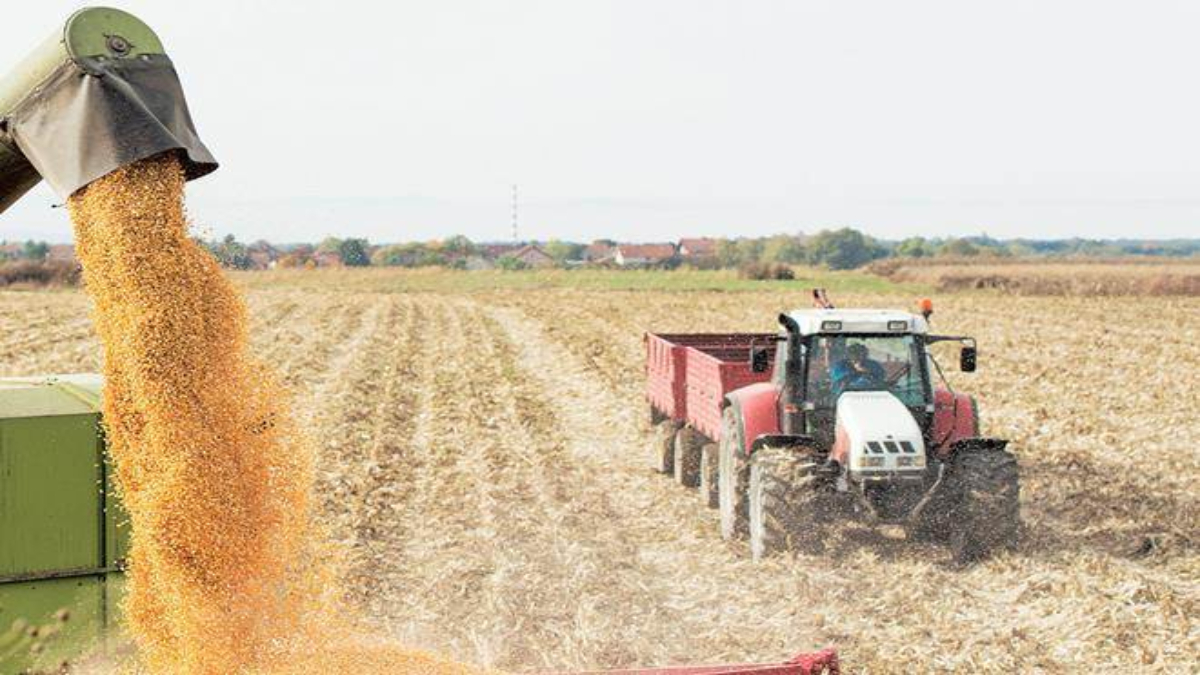 One India, One Agricultural Market