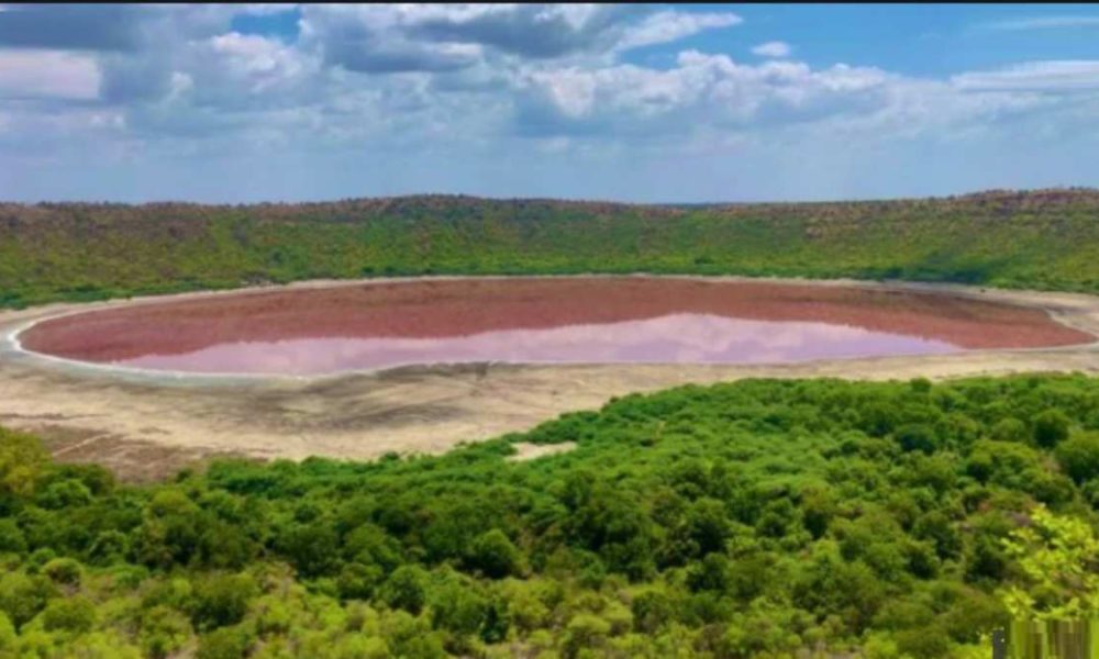 Maharashtra’s Lonar lake turns pink, leaving locals surprised