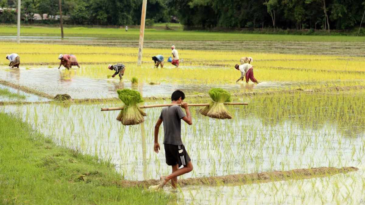 Gear up agriculture to prepare for fourth Industrial Revolution