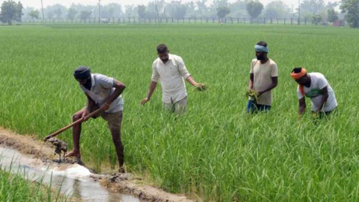 Indian agriculture is finally set to enter the free market