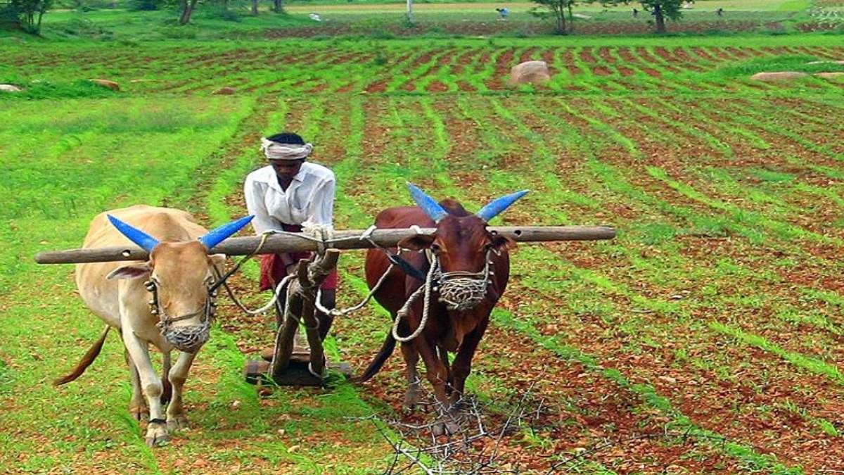 Cabinet approval of repeal of farm laws likely on 24 November