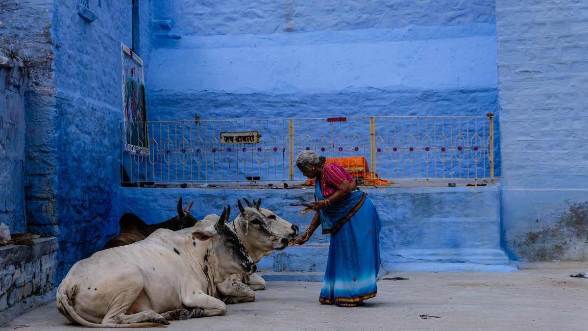 Indic Traditionalism & International Environmental Law: Tangible realities and ideation strategies