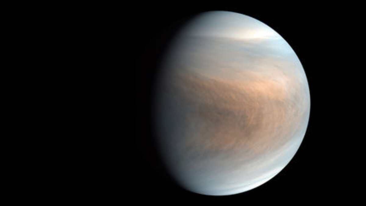 We are not alone? Possible sign of alien life detected on Venus