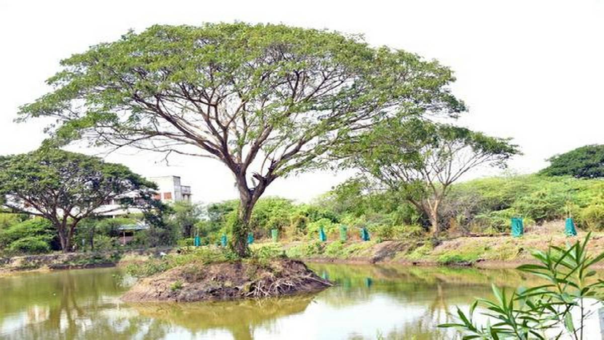 Making things happen: Rejuvenation of water bodies in Puducherry district