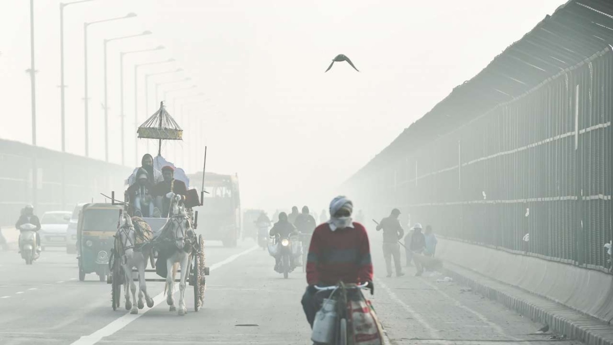 118 domestic flights, 29 trains were delayed due to fog