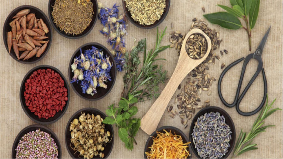 ALTERNATIVE MEDICINE INDUSTRY TO UNDERGO AN UNPARALLELED BOOM