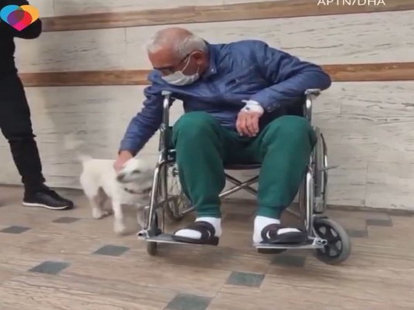 Dog waits outside Turkish hospital for days for owner