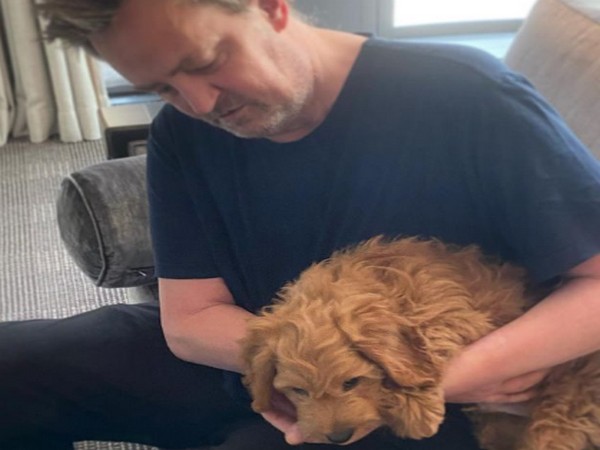 Matthew Perry introduces new pooch to fans, asks ‘who’s cuter?’