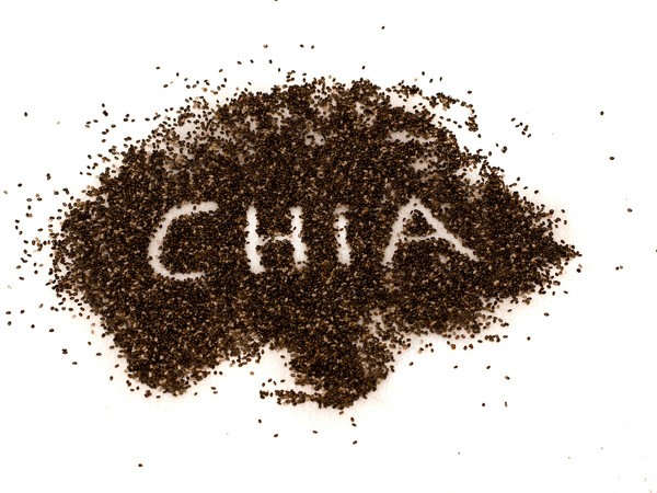 Chia seeds may provide options for nutritional foods, capsules