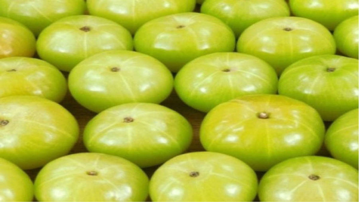 IMPORTANCE OF AMLA IN AYURVEDIC PRODUCTS