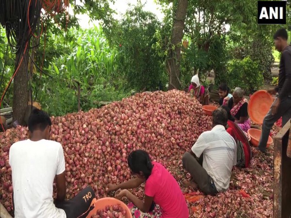 Onion export ban sparks protests; govt vows relief, opposition demands rollback