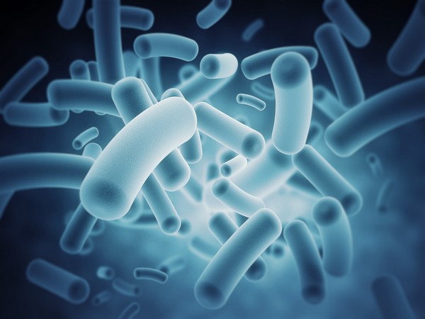 Study reveals Nehandertals’ gut microbiota, bacteria helping our health