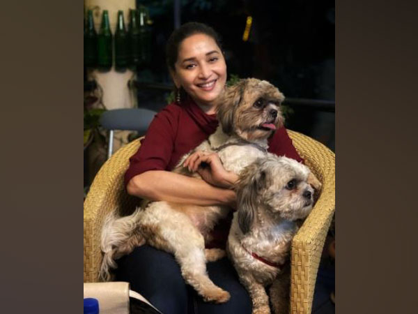 Madhuri Dixit proves she’s a true blue ‘puppy lover’ in latest post