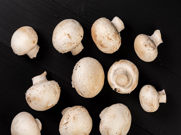 Just a serving of mushrooms could make your meals more nutritious!