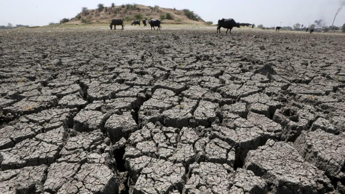 PUNJAB ASSEMBLY PASSES RESOLUTION FOR CHECKING DEPLETION OF GROUNDWATER TABLE