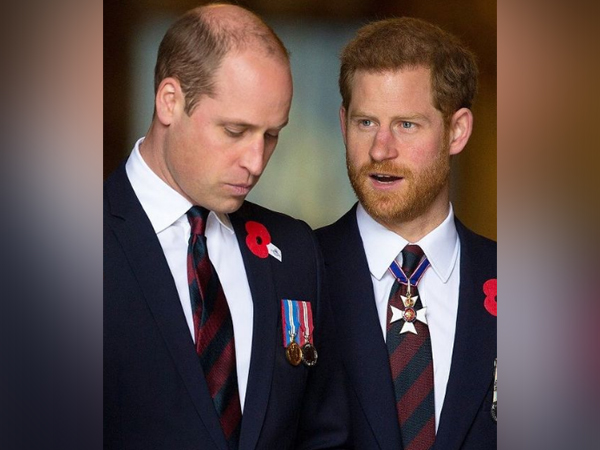 Prince Harry, Prince William to reunite at Princess Diana memorial despite tensions