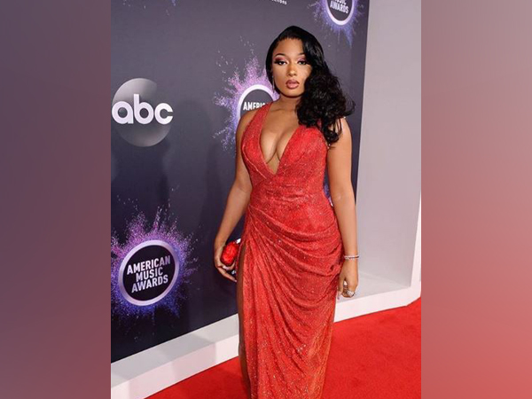 Megan Thee Stallion extends support to Houston residents affected by Texas freeze amid pandemic