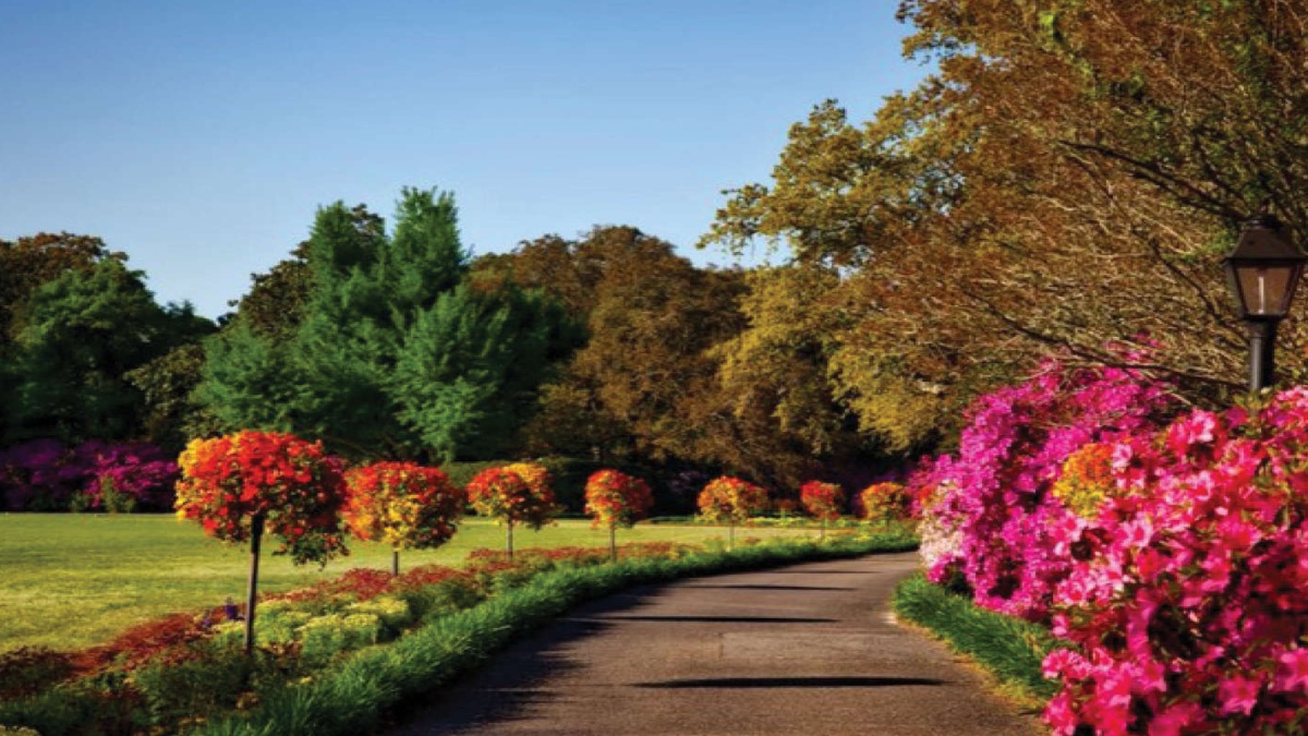 RESEARCHERS FIND HOW NATURE BOOSTS HEALTH OF CITY PEOPLE