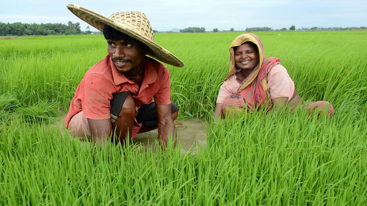 FARMER PRODUCER ORGANISATION: THE BASIS OF PROSPERITY OF FARMERS AND RURAL INDIA