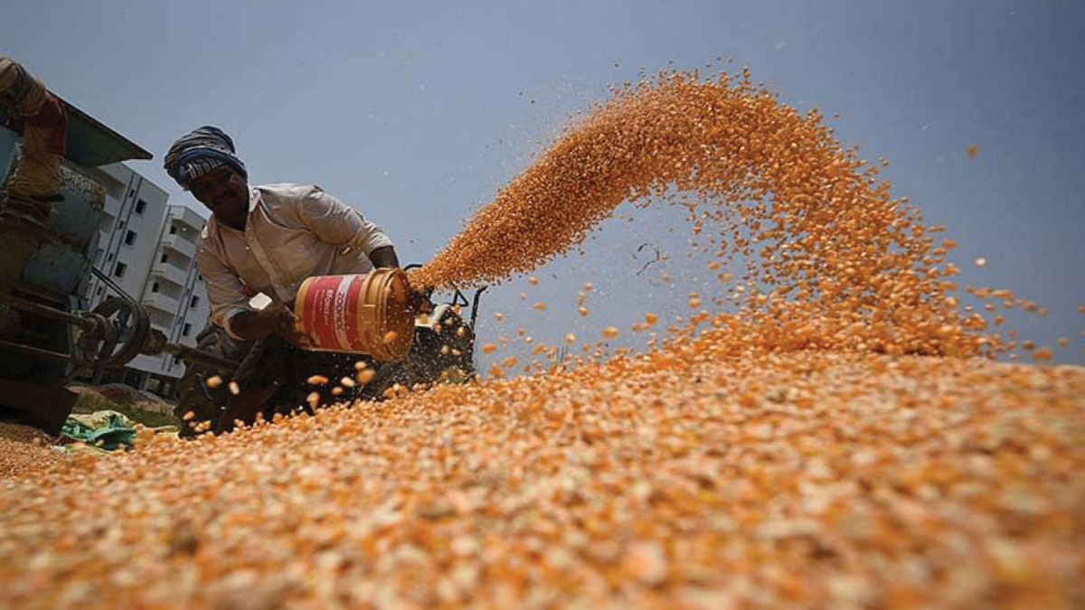 India-UAE to tap businesses in food processing and agriculture, says an apex trade promotion body