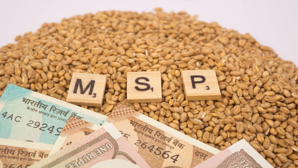 ﻿More about MSP and farm economy