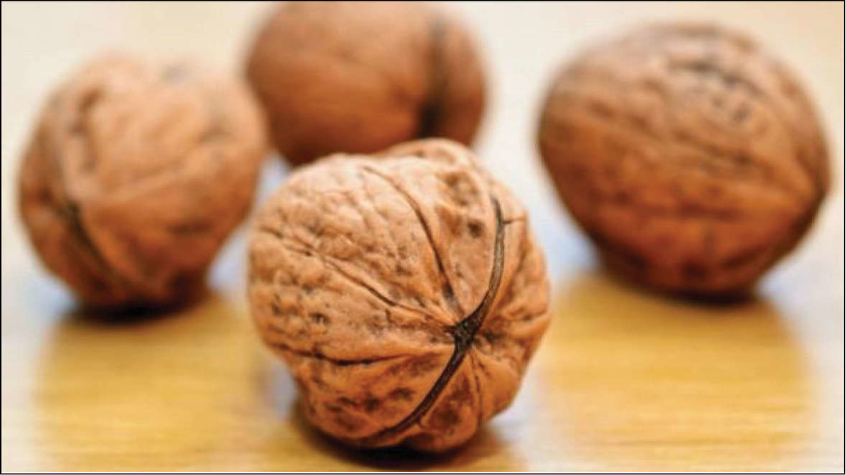 CONSUMING WALNUTS DAILY LOWERS ‘BAD’ CHOLESTEROL LEVELS