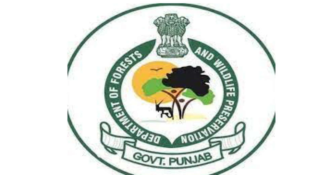 Punjab forest dept sacrificed 25% toll before NHAI