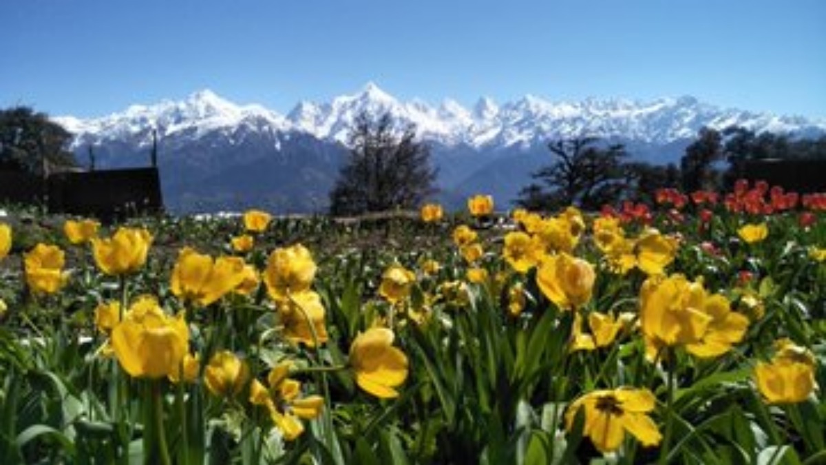 U’khand forest wing unveils aromatic garden