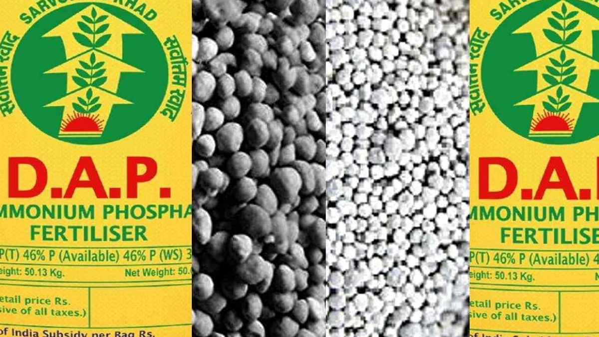 ﻿HARYANA TO GET ADDITIONAL 16 RACKS OF DAP FERTILIZER