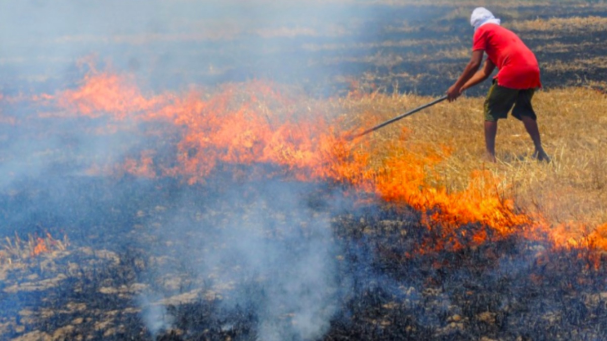 Zero Tillage may be a promising solution to tackle the stubble burning problem